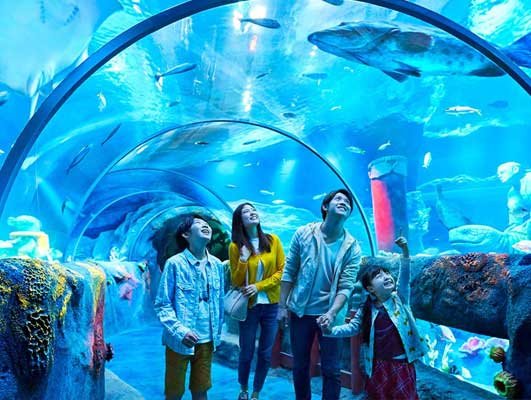 Malaysia Family Fun Escape – 5 Days / 4 Nights