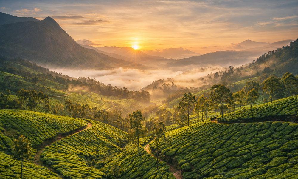 3 Days 2 Nights Kerala Tour Packages