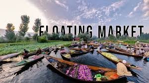 Colorful floating vegetable gardens on Dal Lake with a Shikara boat passing by