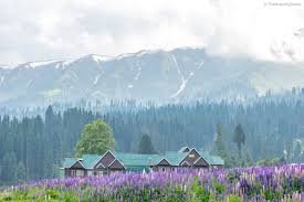 Gulmarg