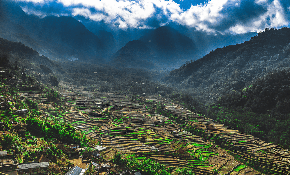 Tour Packages in Nagaland