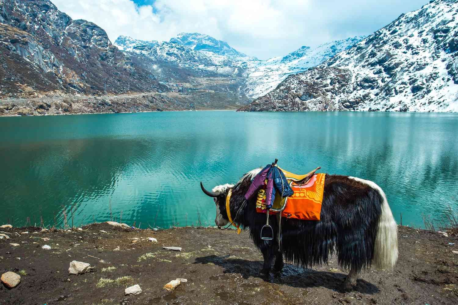 Tour Packages in Arunachal Pradesh