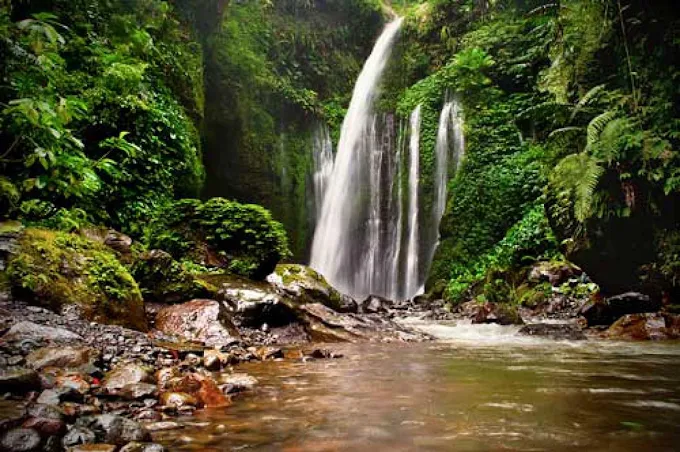 Tour Packages in Arunachal Pradesh
