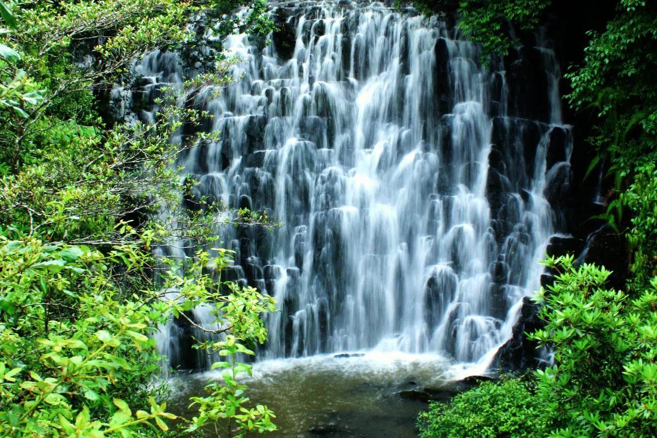 Tour Packages in Arunachal Pradesh